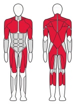 8-и Позиционная мультистанция с блочной рамкой Fitex FTX-6280B