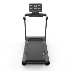 Беговая дорожка Orlauf Leguan