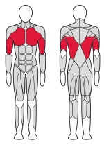 Гравитрон Fitex Pro FTX-61F16A