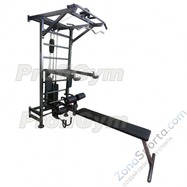 Многофункциональный тренажёрный комплекс ProfiGym на базе шведской стенки