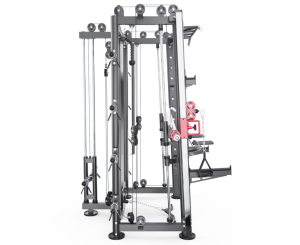 Мультистанция, машина Смита DFC Gorilla Sport 100822