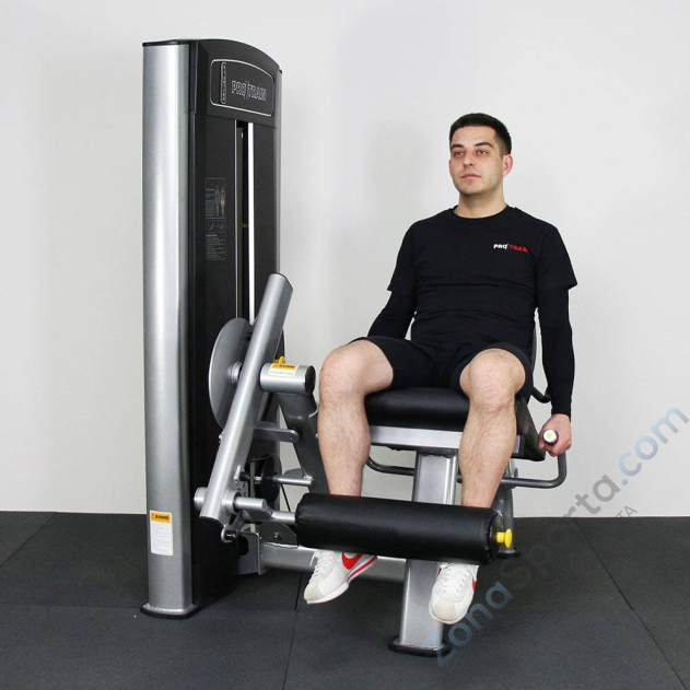 Разгибание ног Protrain 61A24-80