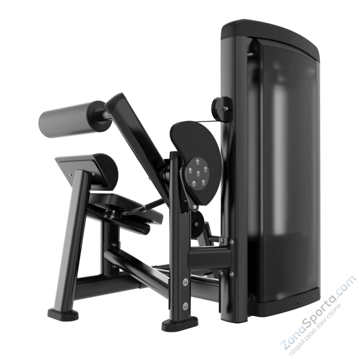 Разгибание спины Protrain LFS118