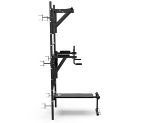 Шведская стенка с опциями DFC Classic VT-7006