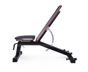 Скамья для жима DFC Crystal / до 300 кг