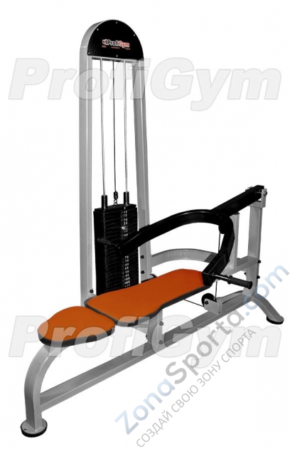 Станок для жима лежа ProfiGym ТГ-0290-С (120 кг)