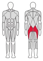 Тренажер Ягодичный мостик Fitex FTX-82032