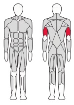 Трицепс машина Fitex FTX-6212