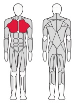 Жим горизонтальный (верхняя компоновка рычагов) Fitex Pro FTX-7305А