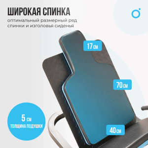 Жим ногами/Гакк-присед Oxygen Fitness Hadley